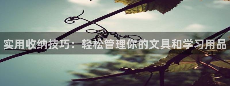 天顺娱乐夏33300j：实用收纳技巧：轻