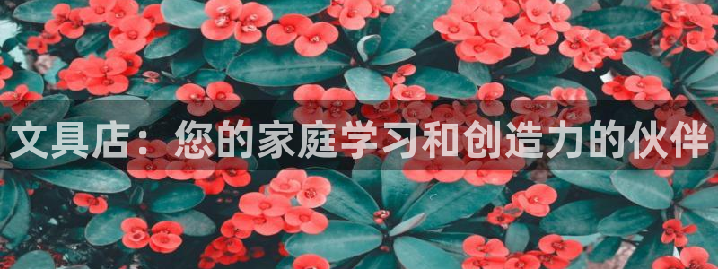 天顺娱乐心70648抠：文具店：您的家庭