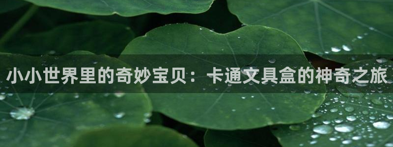 天顺娱乐律78778：小小世界里的奇妙宝