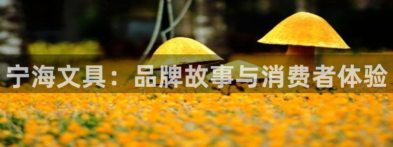天顺娱乐主管征判官333OO：宁海文具：