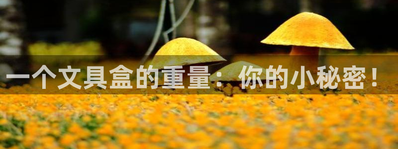 娱乐直播聊天顺口溜：一个文具盒的重量：你