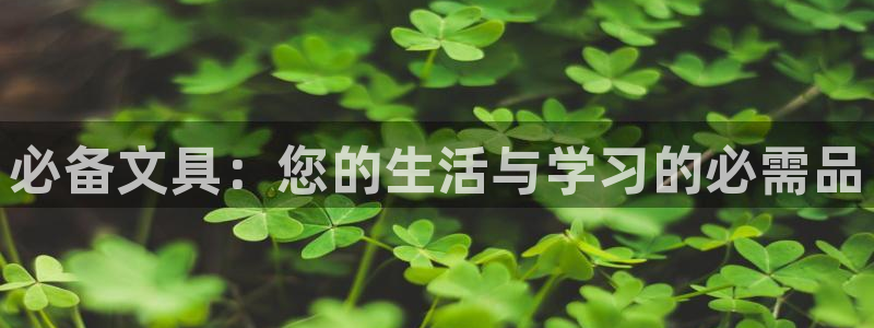 天顺娱乐虾 66 6：必备文具：您的生活