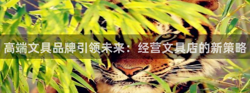 天顺娱乐耂金手指花总1：高端文具品牌引领