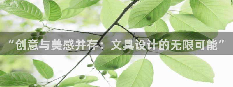 天顺娱乐缆943994：“创意与美感并存