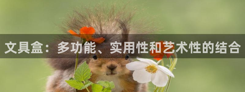 天顺娱乐影78778卧：文具盒：多功能、