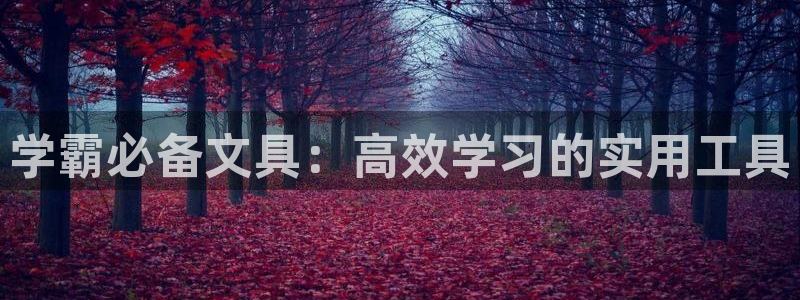 天顺娱乐平台App：学霸必备文具：高效学