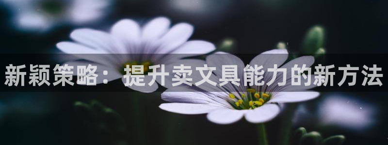 天顺娱乐堪78778卧：新颖策略：提升卖