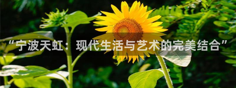 天顺娱乐信老32oo59兜：“宁波天虹：