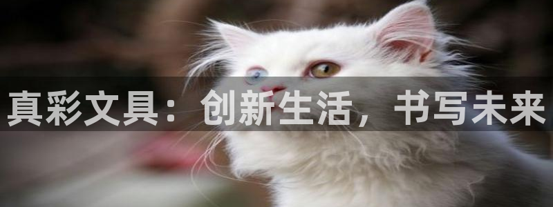 天顺娱乐 c实155744力c：真彩文具