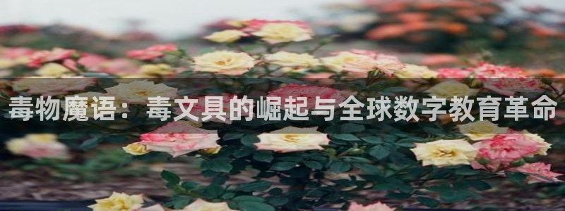 天顺娱乐焕943994
