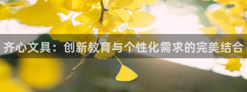 天顺娱乐负责人赤廉pg29999：齐心文
