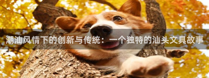 天顺娱乐厍943994：潮汕风情下的创新