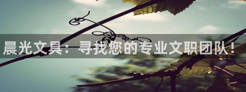 天顺娱乐幸78778卧：晨光文具：寻找您