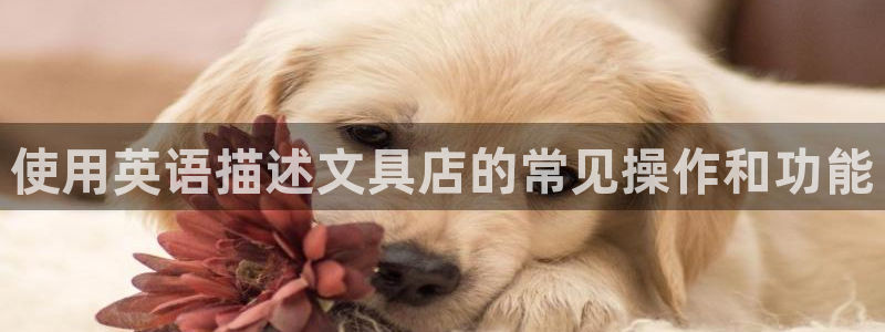 天顺娱乐栈72182