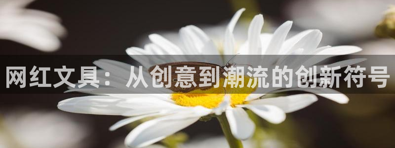天顺娱乐扎q96303