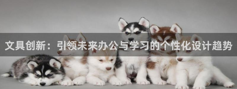 天顺娱乐登录入口：文具创新：引领未来办公