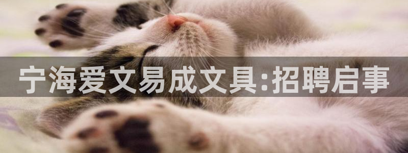天顺娱乐赖wx15 vip：宁海爱文易成