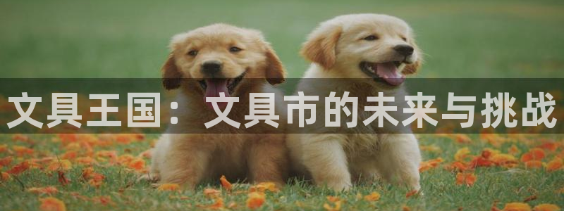 天顺娱乐湍78778卧：文具王国：文具市