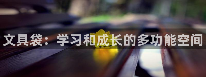 天顺娱乐董事51828：文具袋：学习和成
