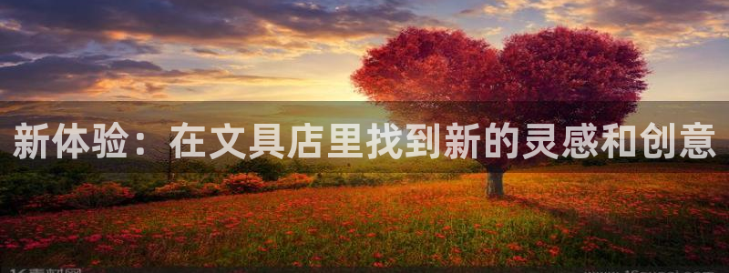 天顺娱乐嘉78778卧：新体验：在文具店