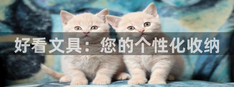 天顺娱乐庆貌p官29999：好看文具：您