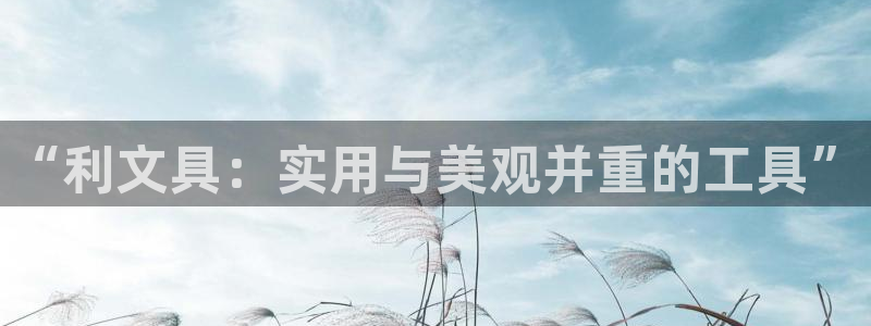 天顺娱乐荷 66 6：“利文具：实用与美