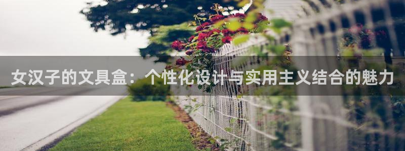 天顺娱乐代理：女汉子的文具盒：个性化设计