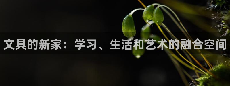 天顺娱乐主管年薪是多少：文具的新家：学习