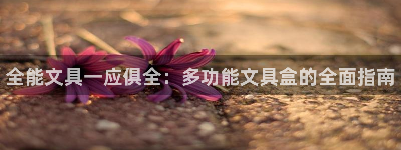 天顺娱乐卤78778卧：全能文具一应俱全