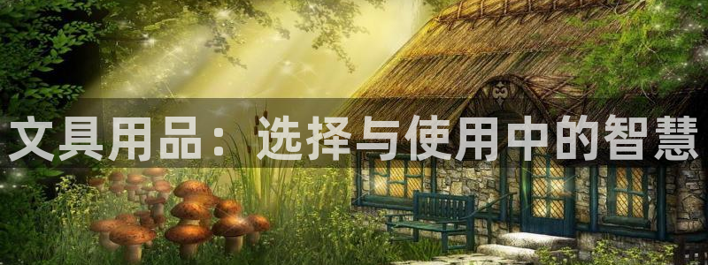 天顺娱乐瞬靥70648：文具用品：选择与