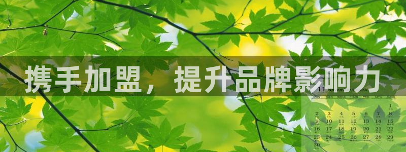 天顺娱乐质70648：携手加盟，提升品牌