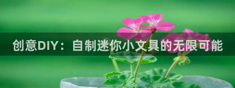 天顺娱乐镜943994：创意DIY：自制