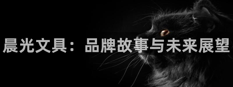 天顺娱乐胸72182：晨光文具：品牌故事