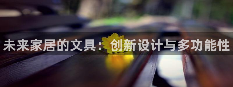 天顺娱乐负责人钅灵pg22650：未来家